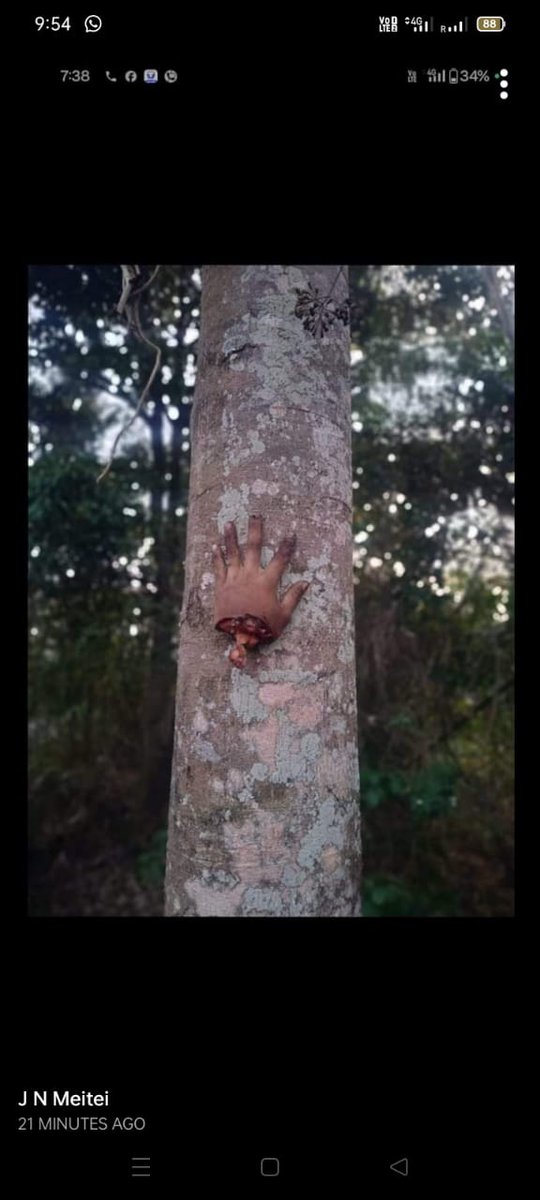 Sengolngai Kuki Indian🇮🇳 (@hegouhaokip3) on Twitter photo #ManipurViolence
I have One vote" But, i am no longer vote, this coming 18Lok Sabha MP election's,2024. Because, meiteis militias they're cutted my ✋hand's.<a href="/adgpi/">ADG PI - INDIAN ARMY</a>
<a href="/AnsarArooma/">Arooma Ansar</a> <a href="/ArijitNobody/">Arijit Nobody</a> <a href="/phoenixpaul2023/">Arijit nobody</a> <a href="/ECISVEEP/">Election Commission of India</a> <a href="/SpokespersonECI/">Spokesperson ECI</a> <a href="/ANI/">ANI</a> <a href="/BenjaminMate1/">H S Benjamin Mate</a> <a href="/paolienlal/">Paolienlal Haokip</a> <a href="/CNNnews18/">News18</a> #ManipurViolence
I have One vote" But, i am no longer vote, this coming 18Lok Sabha MP election's,2024. Because, meiteis militias they're cutted my ✋hand's.<a href="/adgpi/">ADG PI - INDIAN ARMY</a>
<a href="/AnsarArooma/">Arooma Ansar</a> <a href="/ArijitNobody/">Arijit Nobody</a> <a href="/phoenixpaul2023/">Arijit nobody</a> <a href="/ECISVEEP/">Election Commission of India</a> <a href="/SpokespersonECI/">Spokesperson ECI</a> <a href="/ANI/">ANI</a> <a href="/BenjaminMate1/">H S Benjamin Mate</a> <a href="/paolienlal/">Paolienlal Haokip</a> <a href="/CNNnews18/">News18</a>
