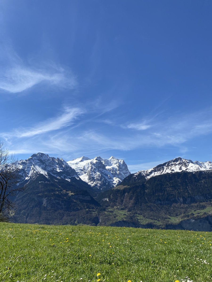 Good morning, #womenwriters! This is ⁦@ValeriaVescina⁩ in Switzerland, tweeting for ⁦@womenwritersnet⁩. What are your #writing plans for the week? #WritingCommunity