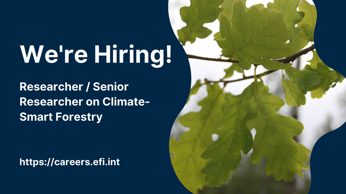 📣We're looking for a Researcher/Senior Researcher to work in the Climate-Smart Forestry team and participate in collaborative projects and research proposals relevant to Climate-Smart Forestry.
🗓️Apply by 24 May careers.efi.int/o/researcher-s…