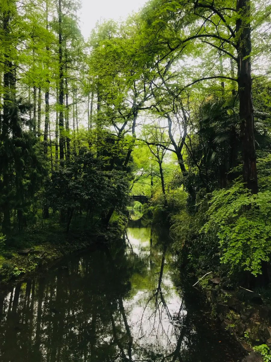 _Nature_View's tweet photo. #sundayvibes #NatureBeauty https://t.co/PW126eyfiJ