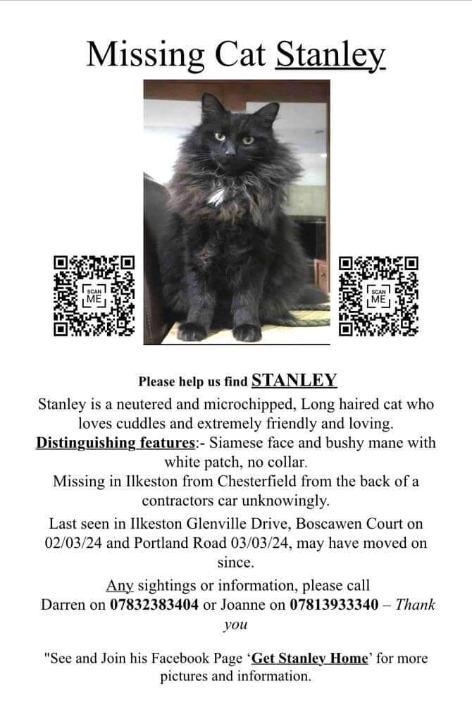 #GetStanleyHome Black #LostCat Missing #lkeston after jumped from car Grenville Drive Sat 2/3/24
Seen same day Boscawen Court Sun evening 3/3 Portland Rd
#ScanMe
Unknowingly transported from Chesterfield-needs help to get home
#MissingCatsDay
@DogLostUK 
doglost.co.uk/dog-blog.php?d…