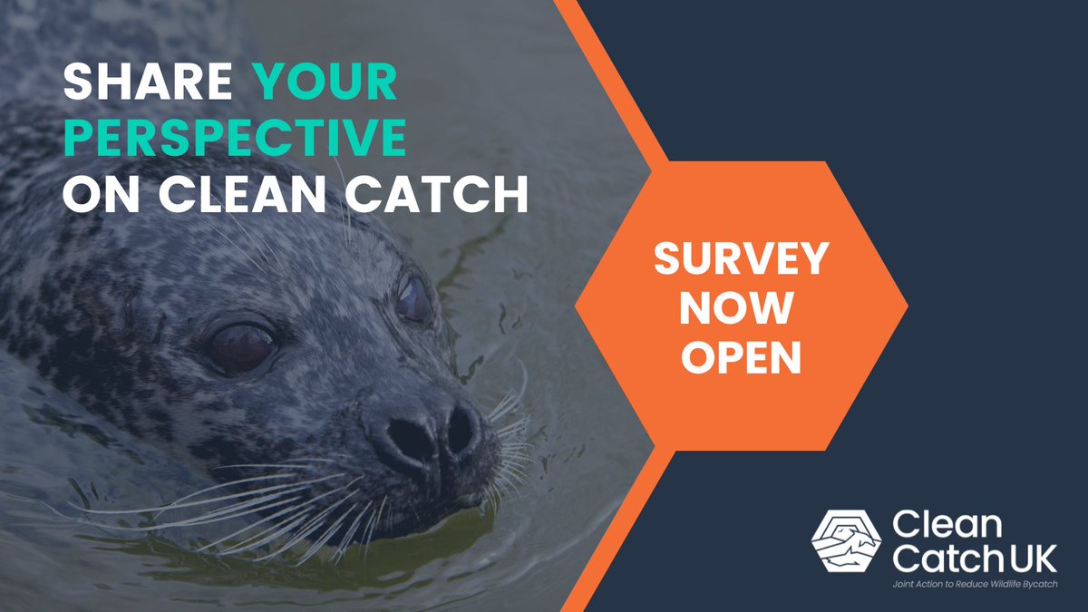 Help us shape the future of Clean Catch! Our April newsletter comes with the link to a short survey asking for your views on Clean Catch to date, plus a variety of exciting programme updates & other news and research on #wildlife #bycatch 👉 loom.ly/lDHMXH0