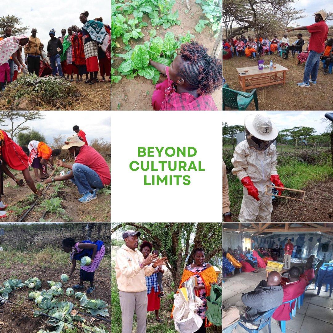 We appreciate @BCLFoundtn_Ke for their continued involvement of the Maasai community in their drive to create a #SustainableCommunity & environment. A Maasai-led foundation, BCL is one of the partners in our community of Good Practice. Here is their work👉🏽 bit.ly/3VXMuAu