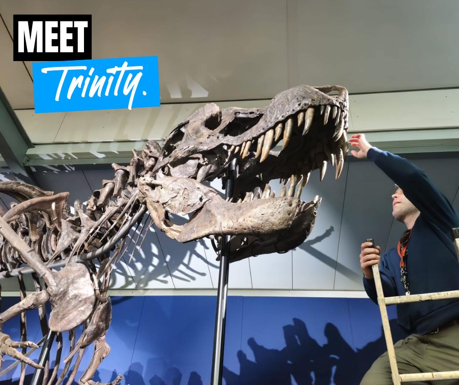 A team of palaeontologists from #PortsmouthUni is leading the scientific research on the extraordinary multimillion-dollar Tyrannosaurus rex skeleton ‘Trinity’. Read more about this exciting project: bit.ly/3VVwXkE #Dinosaurs