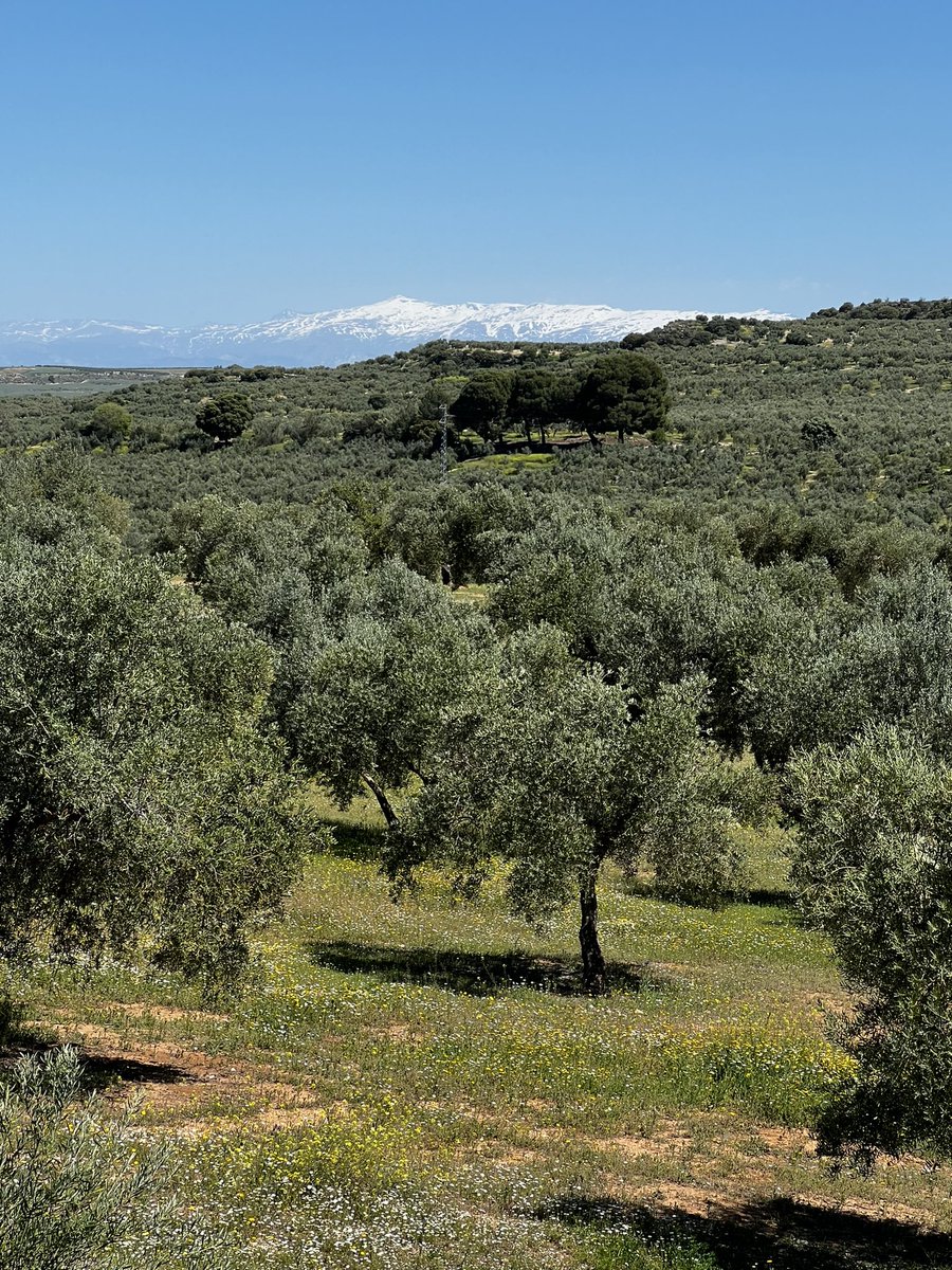 Ken Jones tweet media