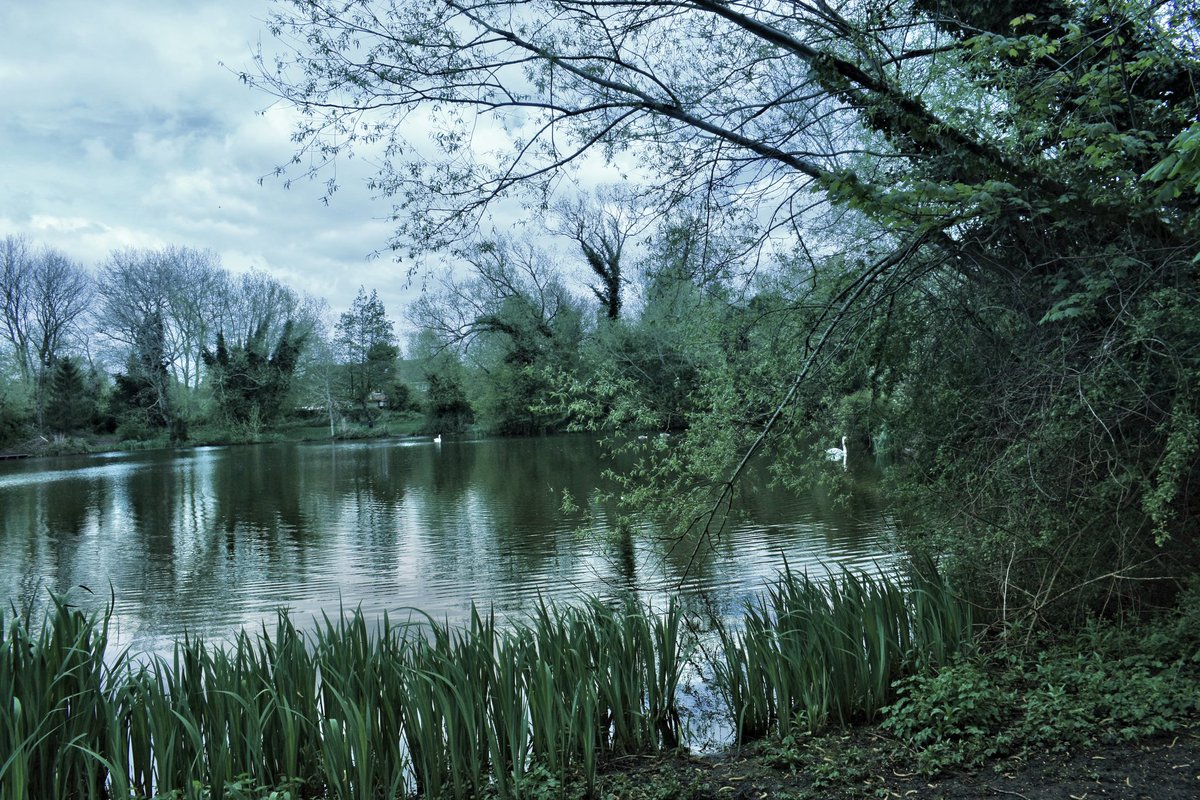 Humpo63's tweet photo. Photos from this week’s Sunday walk
#WalkWithCharlie https://t.co/WoZOkUtXvD