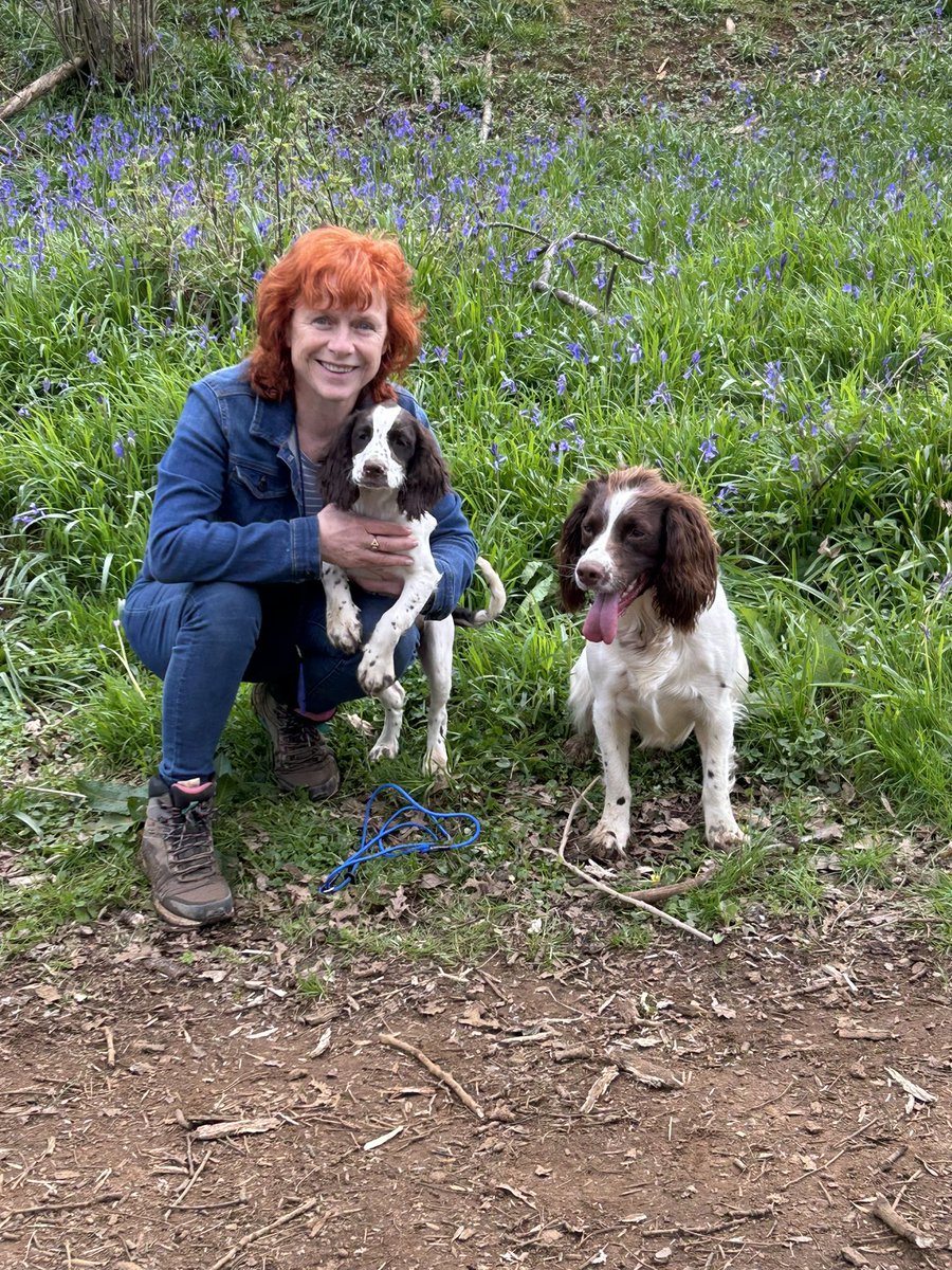 Introducing the newest member of the family to the delights of a spring walk in a bluebell wood