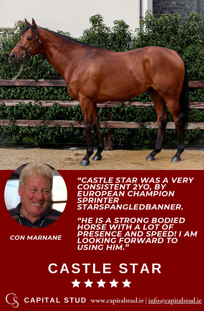 💥 @Capital_Stud's CASTLE STAR 💥

🗣 'CASTLE STAR was a very consistent 2YO, by European Champion Sprinter Starspangledbanner. He is a strong bodied horse with a lot of presence and speed! I am looking forward to using him.' - Con Marnane

Visit ⬇️
capitalstud.ie/castle-star