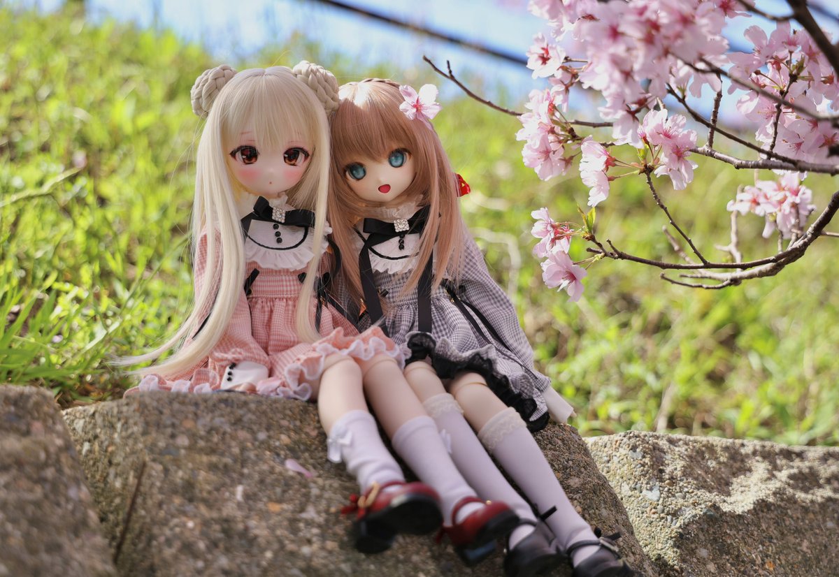 itu_hal's tweet photo. お花見🌸

#ナナイロテントウ春の撮影会2024
#はりせんっ子
#めろっ娘 https://t.co/AW8tcSxCnr