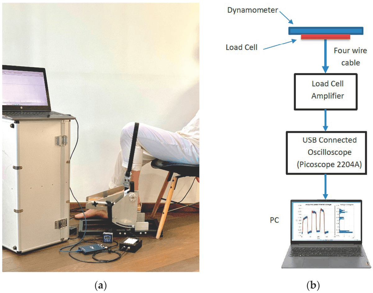 Sensors_MDPI's tweet image. A Signal  Processing Method for Assessing Ankle Torque with a Custom-Made  Electronic Dynamometer in Participants Affected by Diabetic Peripheral  Neuropathy
mdpi.com/1424-8220/22/1…
#ankletorque #dynamometer #biomedicalsignalprocessing #featureextraction #levelwindowing
