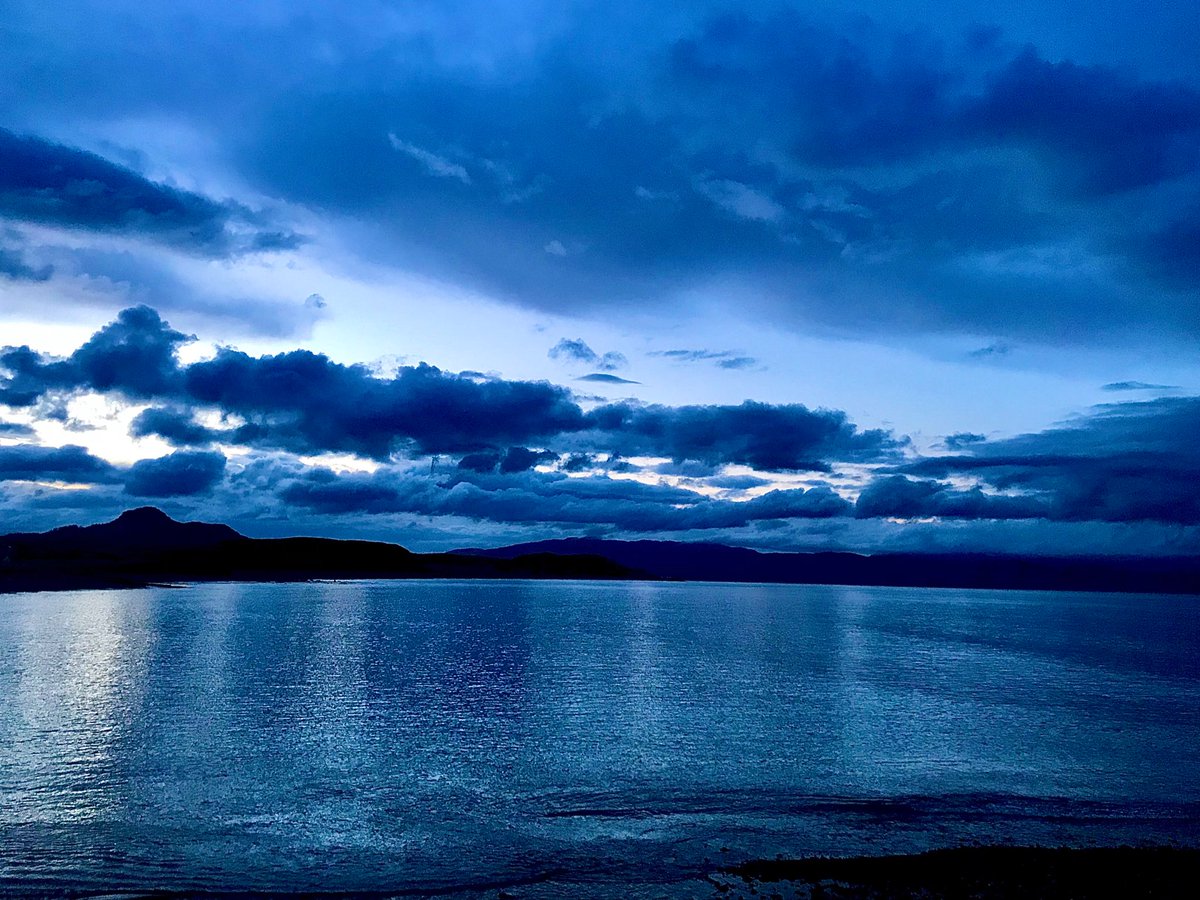 Bo Mandeville 🍉 tweet media