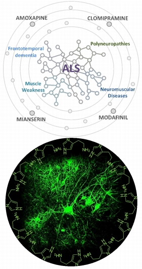 #amyotrophiclateralsclerosis #burden #drugstrategy Amyotrophic lateral sclerosis disease burden: doing better at getting better journals.lww.com/nrronline/full…