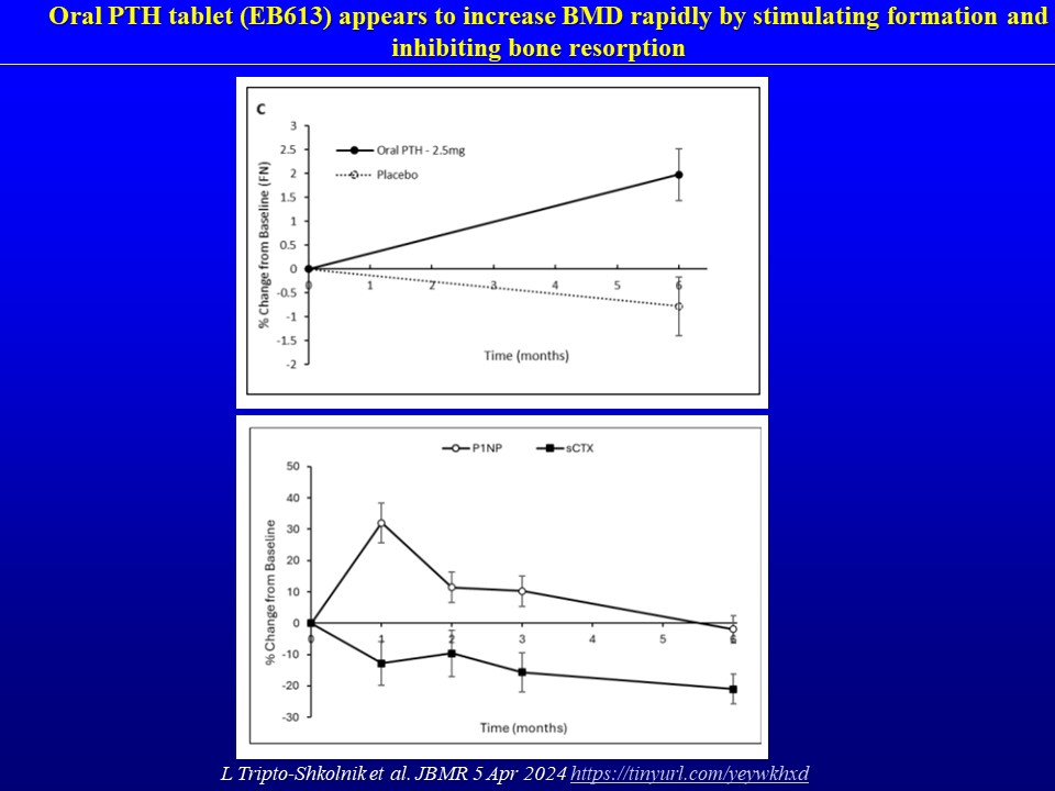 In contrast to SC PTH, the oral PTH tablet (EB613) appears to increase BMD rapidly by stimulating formation and inhibiting bone resorption. L Tripto-Shkolnik et al. JBMR 5 Apr 2024 tinyurl.com/yeywkhxd …6-month, double-blind, placebo-controlled phase 2 study