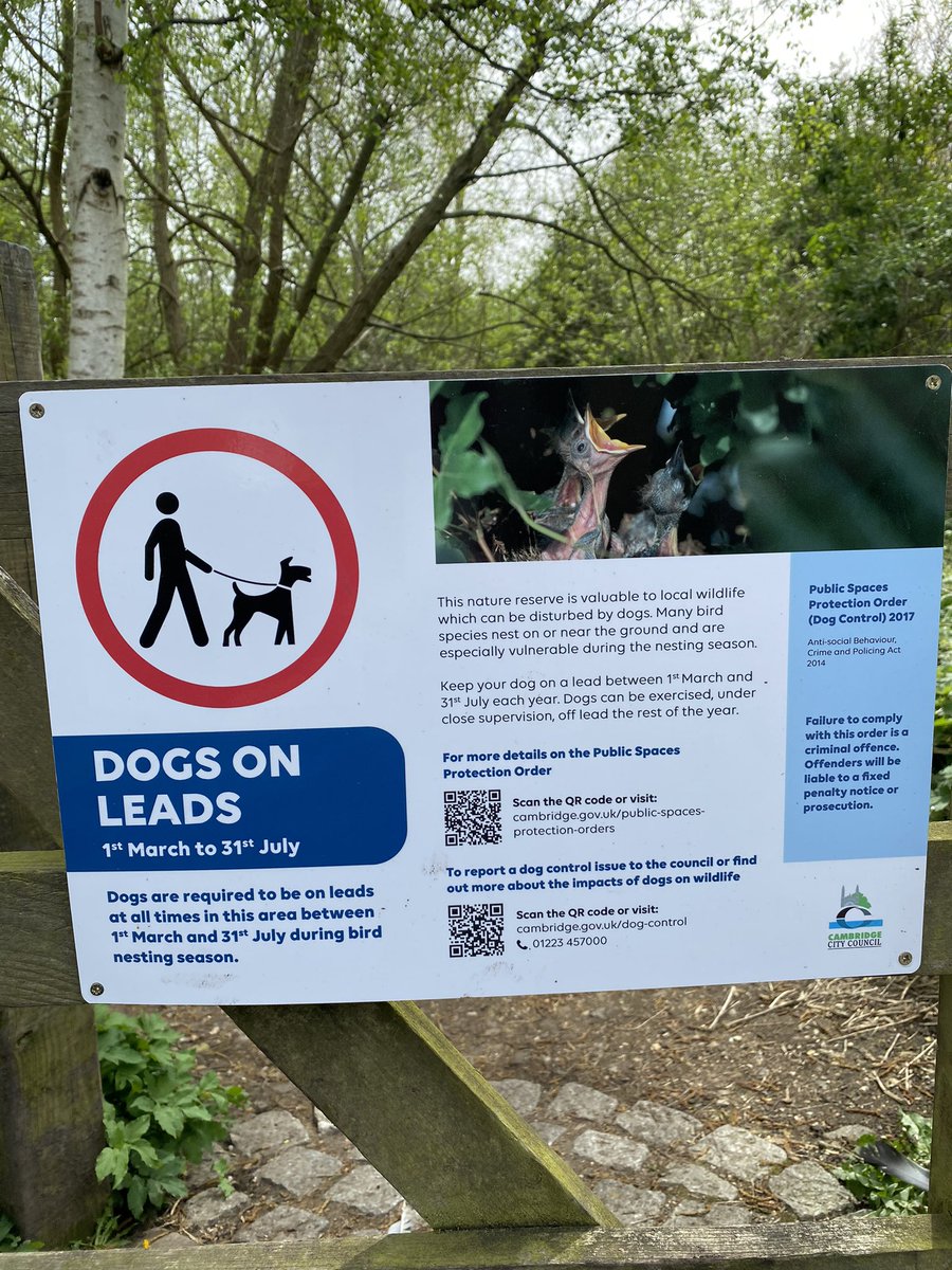 alison_fure's tweet photo. This makes such  a difference when moving around Cambridge’s green spaces #dogsonleads 
#manageexpectations https://t.co/xb5HC85iNA