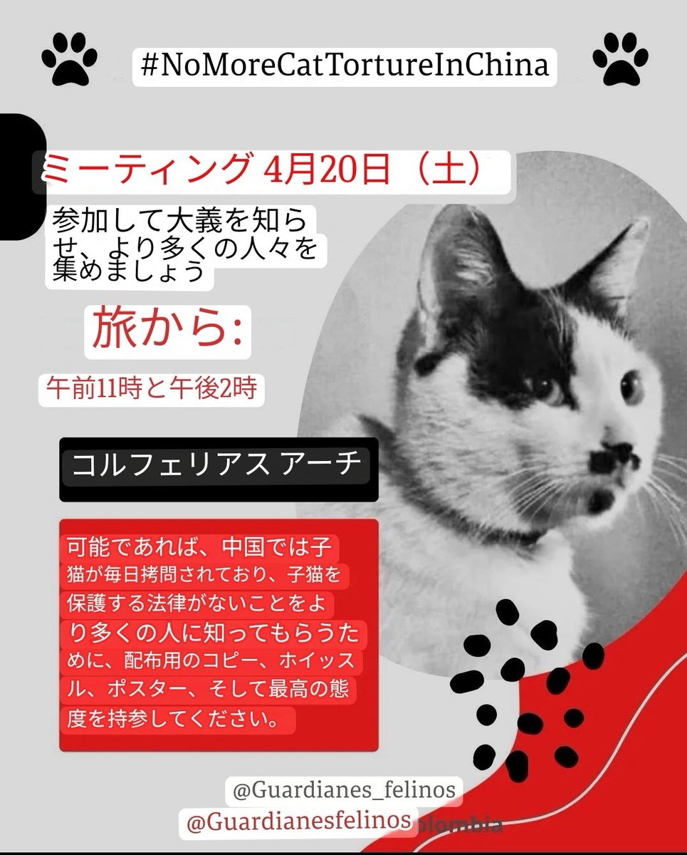 ‼️📢 UPDATE ‼️ #Colombia wants to do something bigger in this upcoming protest, which is why it has called for an information meeting to inform many more people and raise awareness about animal abuse and mistreatment in China. @china_embajada Gracias Colombia 🇨🇴