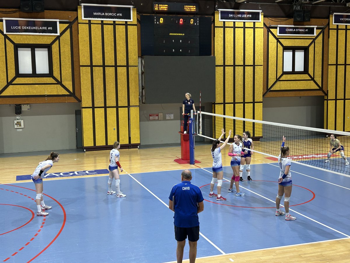 Castres Massaguel Volley-Ball tweet media