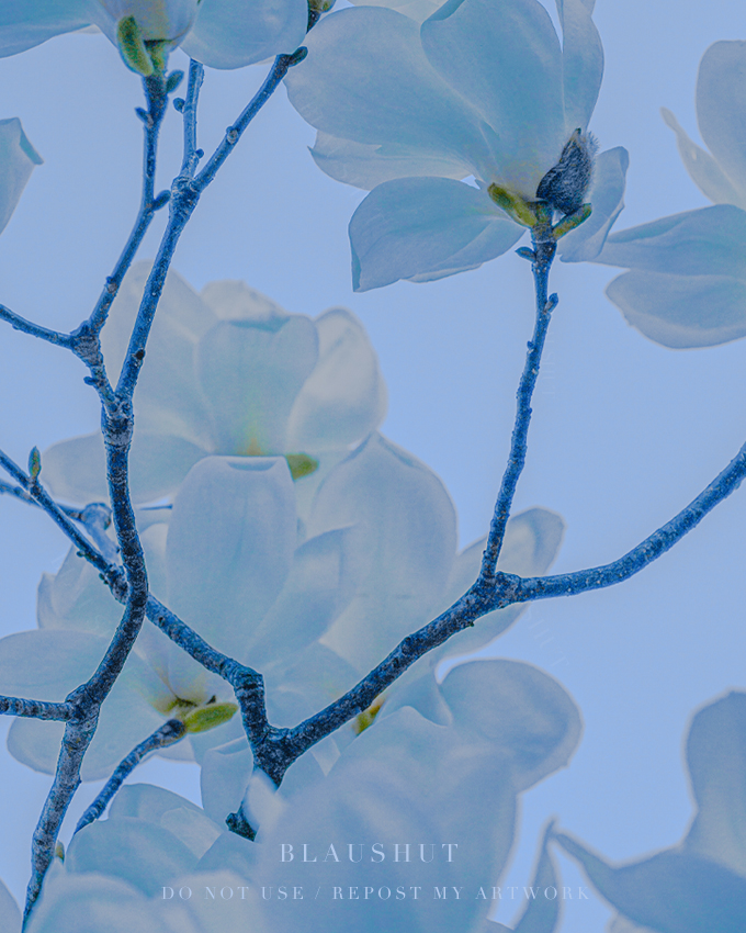 꿈과 현실의 경계