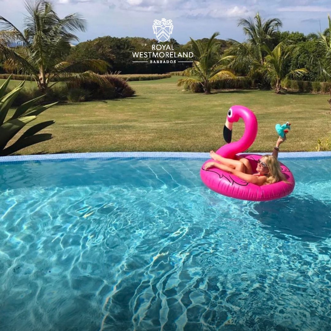 Mornings in a nutshell at Royal Westmoreland 

📷 just_ask_jonesy

#LivingRoyal