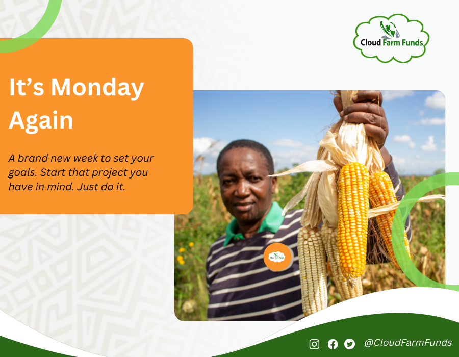 It's Monday Again.

Without goals, and plans to reach them, you are like a ship that has set sail with no destination.

#MondayMotivation #Cloudfarmfunds #SetGoals #KeepPushing