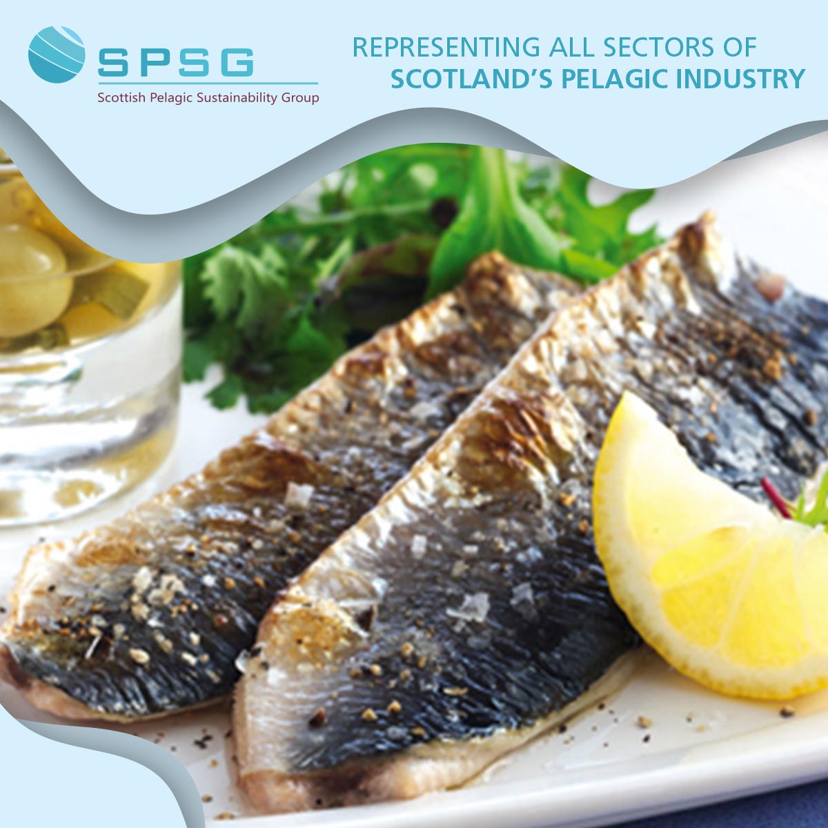 Mackerel and herring are great sources of Vitamin D and health experts recommend that we should be eating two portions of fish a week, one of which should be an oil-rich, such as mackerel or herring. spsg.co.uk #mackerel #herring