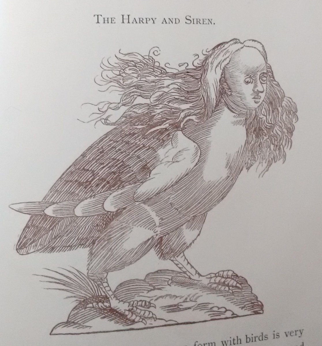 The Manticora, the Siren and the Harpy in 'Curious Creatures in Zoology', by John Ashton (1900). #ArchiveMyths #Archive30