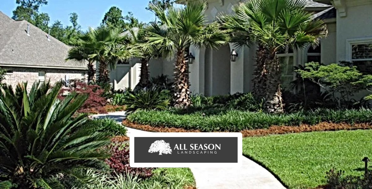 Watch your outdoor space bloom with our expert landscaping services! Visit our website to learn more ayr.app/l/e8z3/