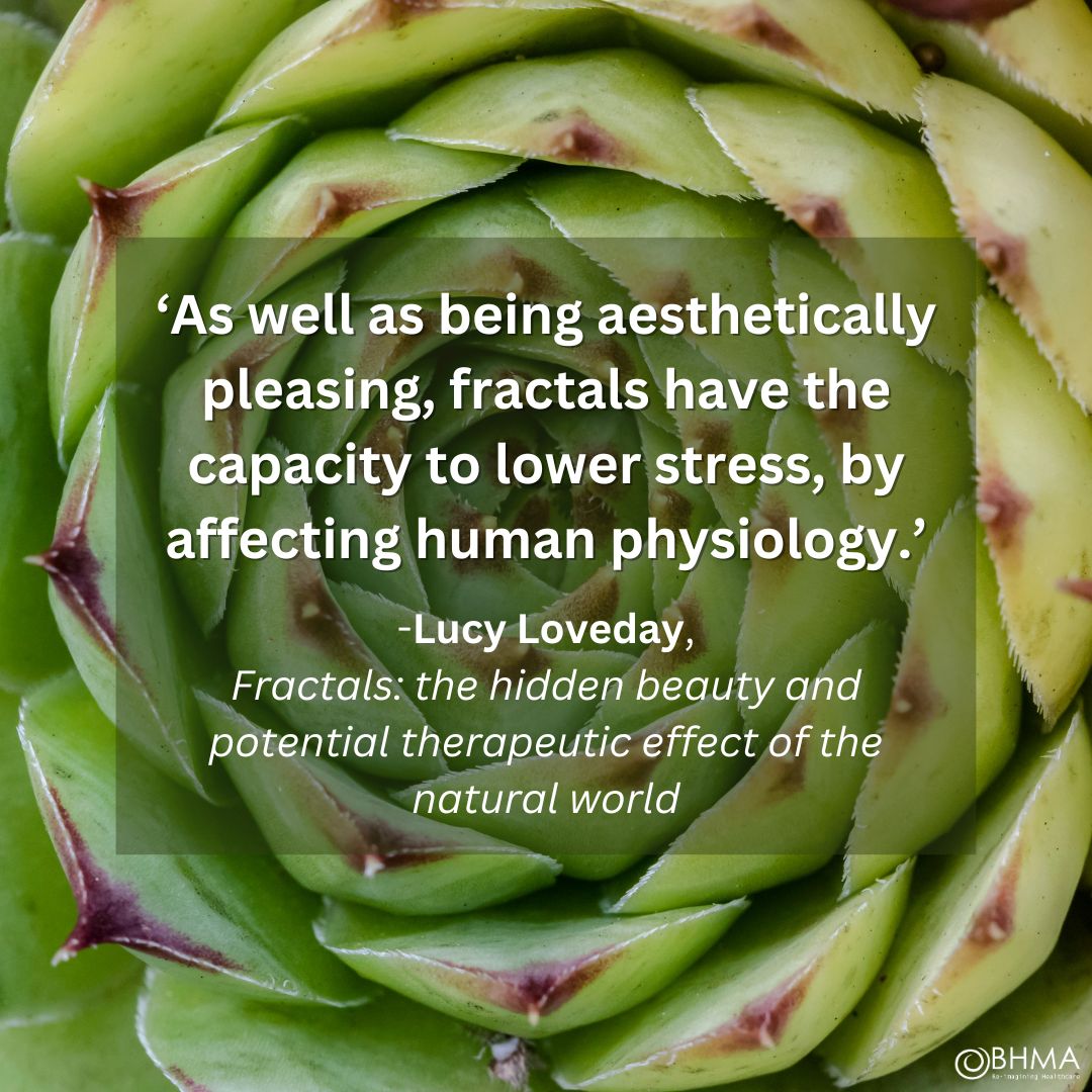 Most people know about fractals; even if they don’t know how they come about, they perceive there is something special about them. More on 🔗 bhma.org/fractals-the-h… #fractals #geometry #naturetherapy #therapeutic #holistic #holistichealth #holistichealthcare