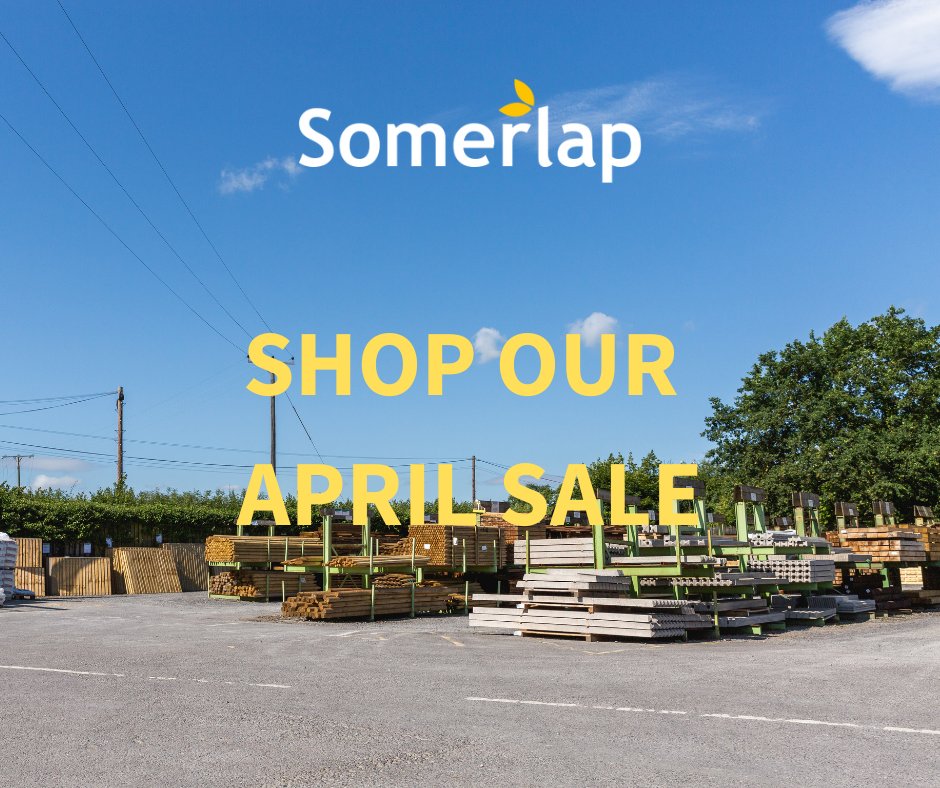 The Somerlap Team tweet media