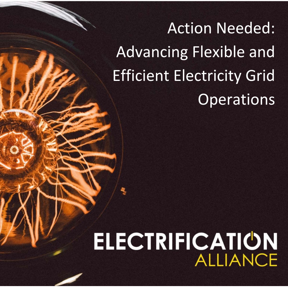 As part of the @Elec_All, representing the #electricity value chain, we call on Member States to foster the flexible & efficient operation of #ElectricityGrids while planning their sufficient expansion & reinforcement to reach the EU’s #NetZero target! ℹ️ shorturl.at/psRX1