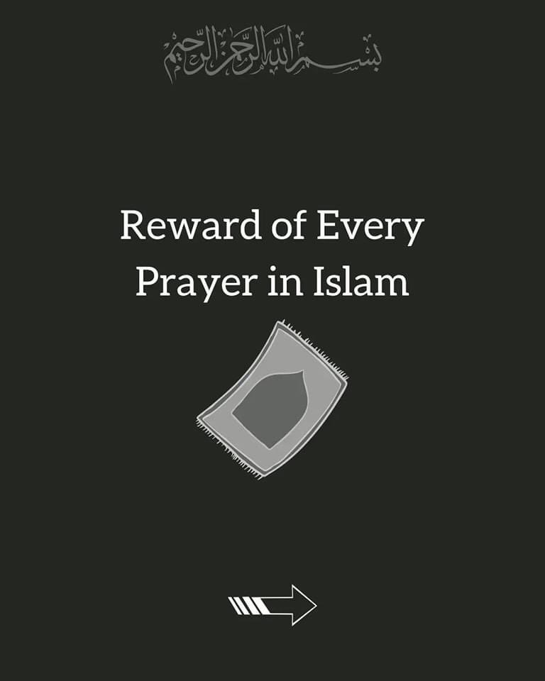wariswahdat's tweet photo. https://t.co/z7ezjMZw9P