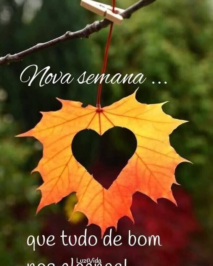 Bom dia ☕🌻 #SegundaBestFriendsSDV #SegundaEsquadraoSDV