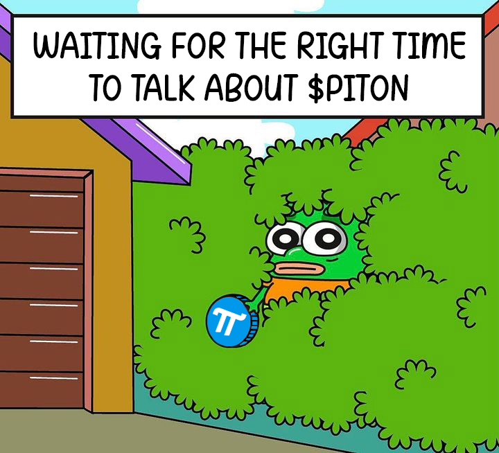 PITON π💎 tweet media