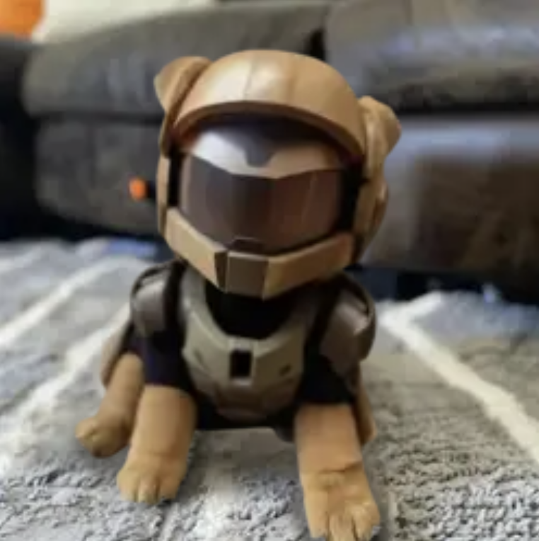 DOG CALLED RUNE tweet media