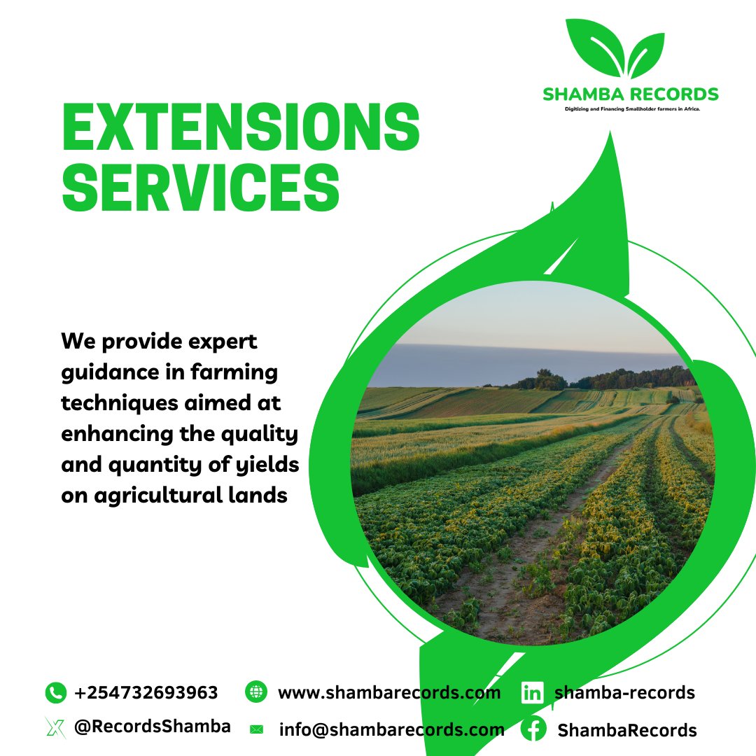 RecordsShamba's tweet photo. We provide expert guidance in farming techniques aimed at enhancing the quality and quantity of yields on agricultural lands. #FarmingExperts #AgriculturalGuidance #SHAMBARECORDS https://t.co/kH6DoIuzgR
