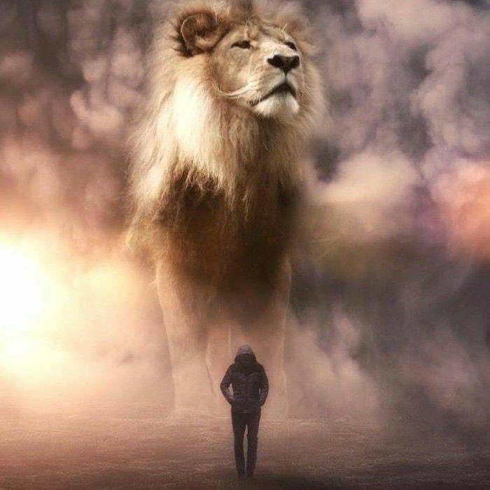 لاتشوف الناس ضعفك وانكسارك
لو عظامك تنكسر ما جبروها

انتصب كنك طلعت من المعارك
مــاخذٍ ثــار الــقبيله كــلبوهــا