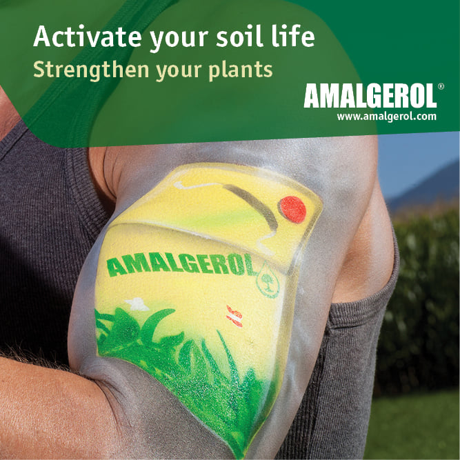 💚 Optimal plant growth with AMALGEROL! 
The strong product from Austria 🇦🇹
💪 Activates soil life and promotes root growth
🛡️ Protects plants from stress and strengthens the immune system
💰 Guarantees yield security in every situation
#biostimulant #amalgerol