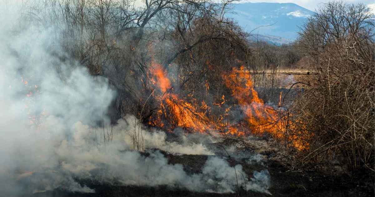 SFRS Lanarkshire tweet media