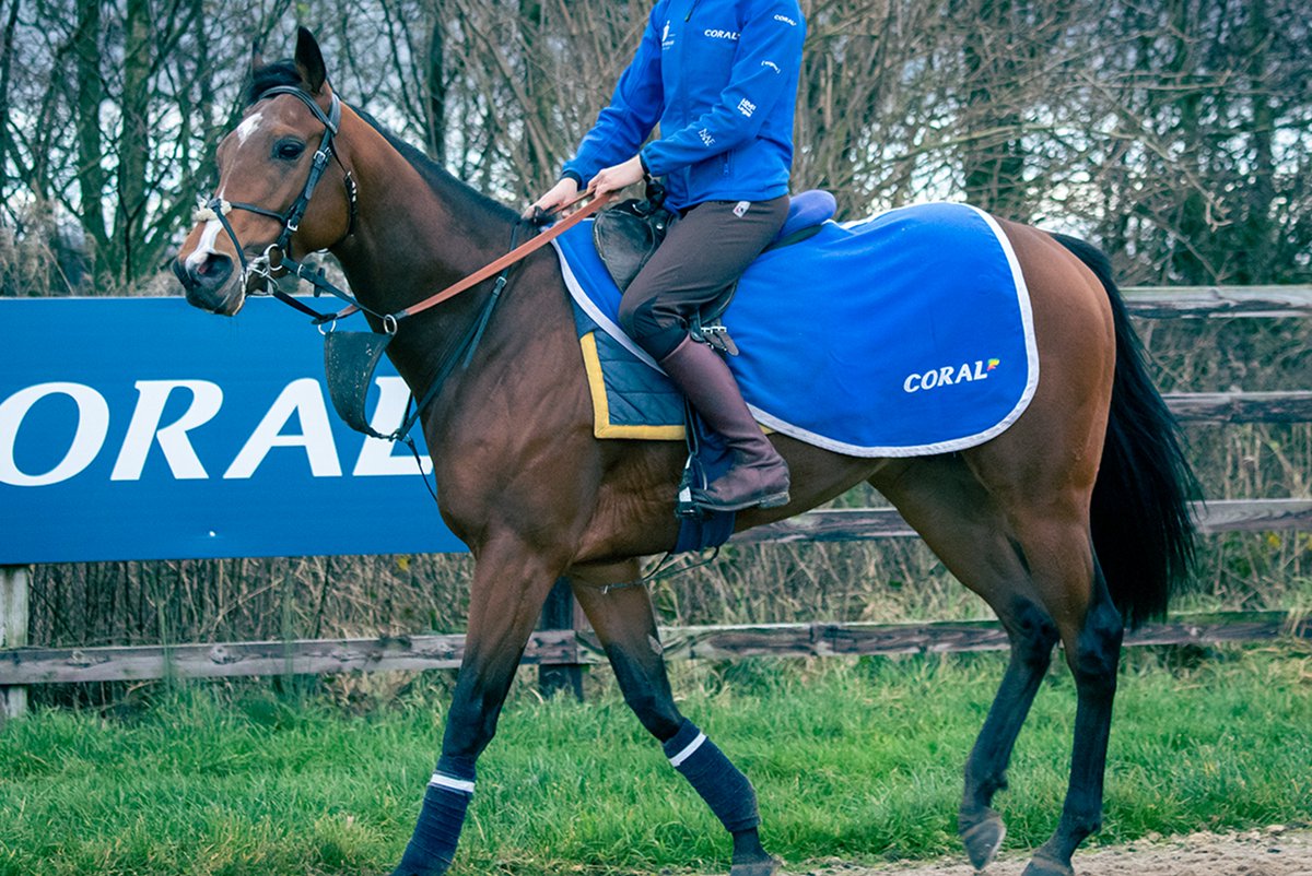 It's raceday! Cast No Shadow returns for the first time since his win at Newcastle last month 🤩 🏇 He runs in the 2:20 at @WindsorRaces for @MHS_HorseRacing with Harry Davies in the saddle. Good luck to all of our owners for the day! 🤞