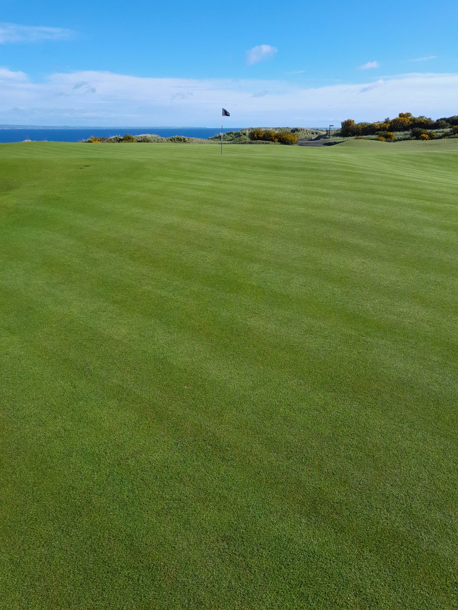 Graeme Taylor tweet media