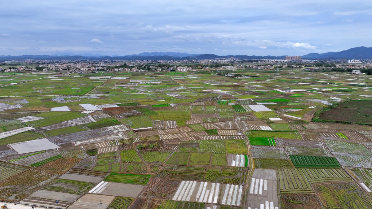 Farmers in the towns of Datang and Rendong of Yulin City are busy working the springtime fields.🌾🌾🌾