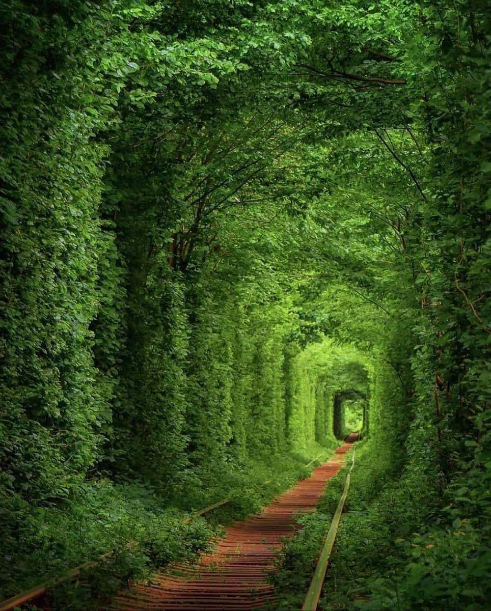 Tunnel of Love Ukraine 🇺🇦