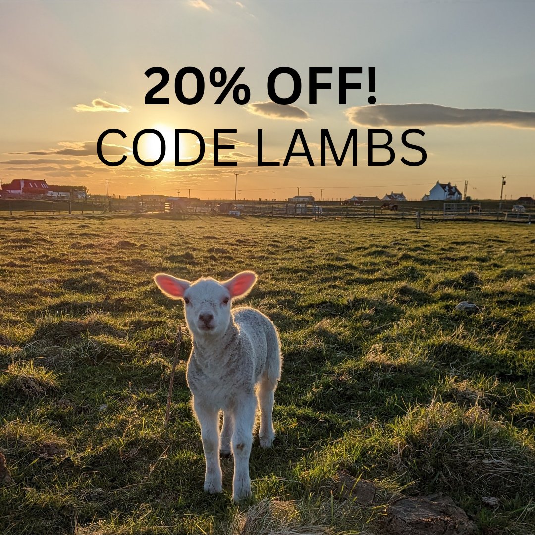 🐑🎉 Lambing has finished on the Tiree Tea croft and we’re celebrating 61 new arrivals with a well-deserved cuppa. We’d love you to join us!

So, until Wednesday night, there’s 20% off at tireetea.co.uk when you use the coupon code LAMBS at the checkout!
