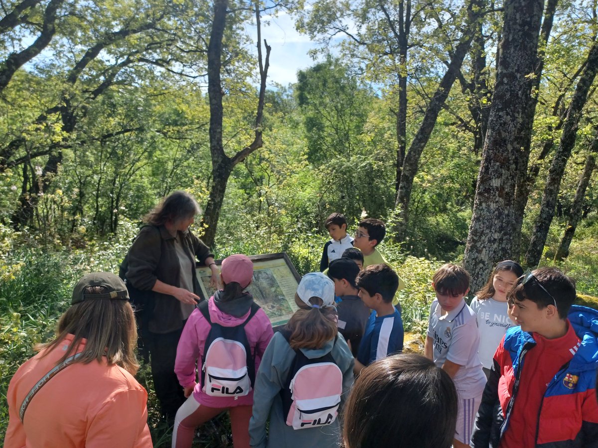 ceacuacos's tweet photo. La pasada semana, recibimos el segundo grupo de Convivencia y Ocio.
Los centros educativos han sido el CEIP https://t.co/Ruw8I7eM5p Montevirgen (Villalba de los Barros) y el CEIP José Maria Calatrava (Mèrida).
🌳🌲🌸🦋🐞🐿🌿 https://t.co/MwMqHzlNDZ