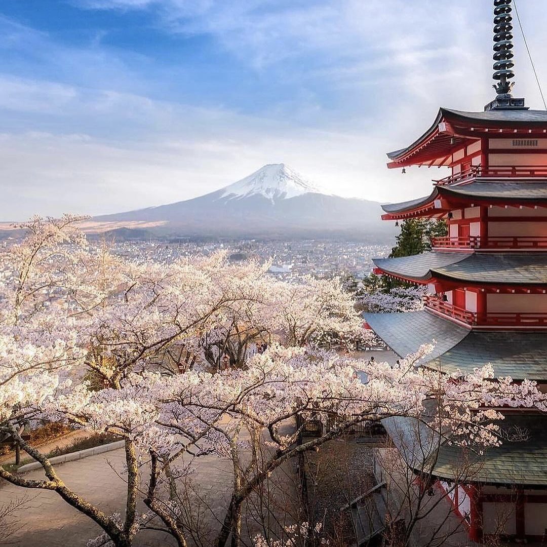 🇯🇵 Paysage exceptionnel au Japon ! Très belle journée à tous ! 🌸🍀 📸 daisukephotography