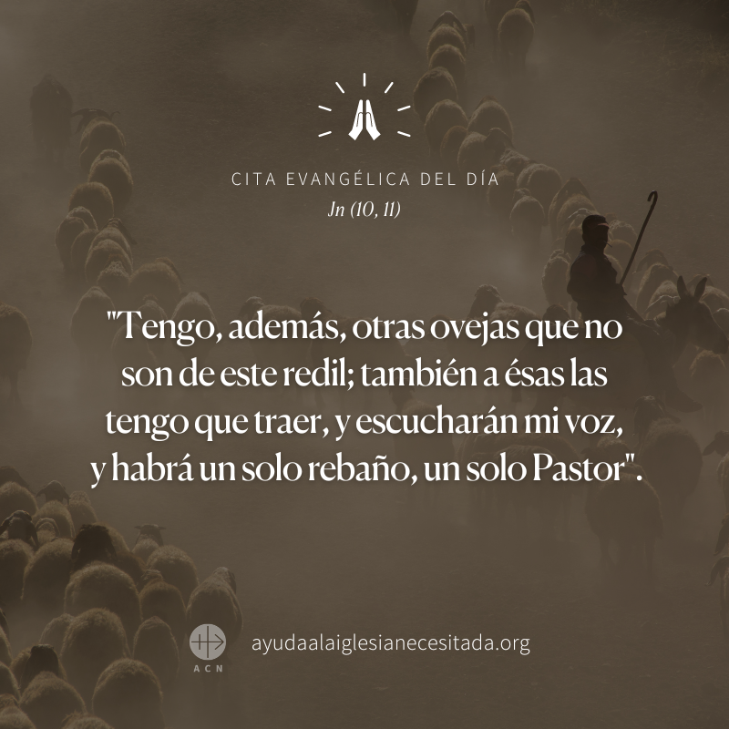 #ReginaCoeli Señor Dios nuestro, que Jesús sea, como piedra angular, el fundamento de mi vida. bit.ly/RezaReginaCoeli