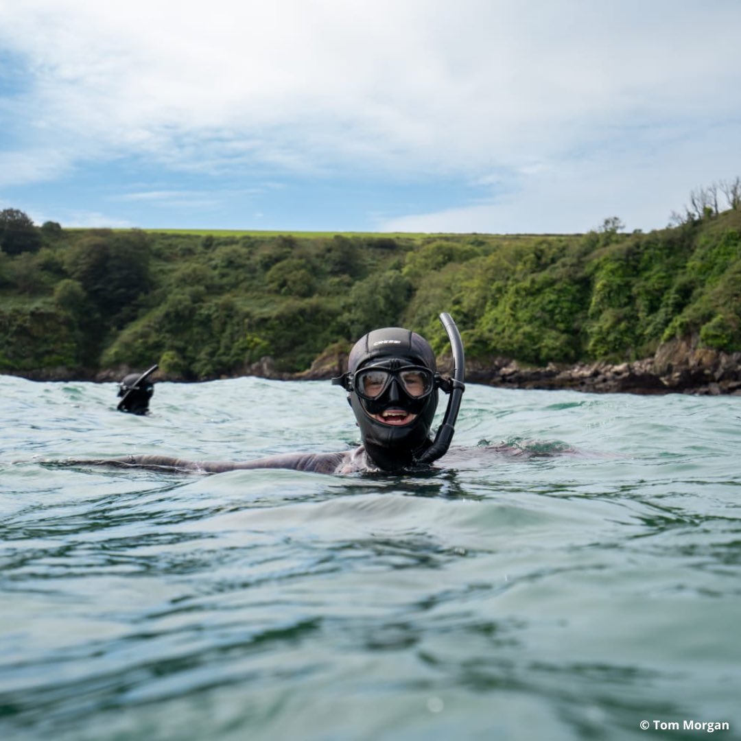 Applications for #Sharkademy 2024 are now OPEN!🦈

Join @mareco_org and @celtic_deep in #Pembrokeshire this summer on the UK’s first training #residency for aspiring #shark researchers and professionals.

Apply here: forms.gle/G8XqT8YpsfkR31…

#Sharkademy2024