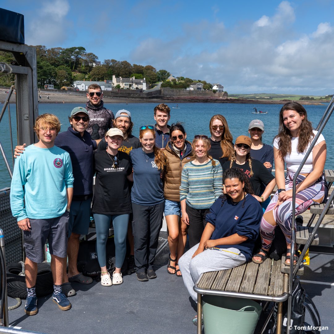 Marine Research & Conservation Foundation (MARECO) tweet media