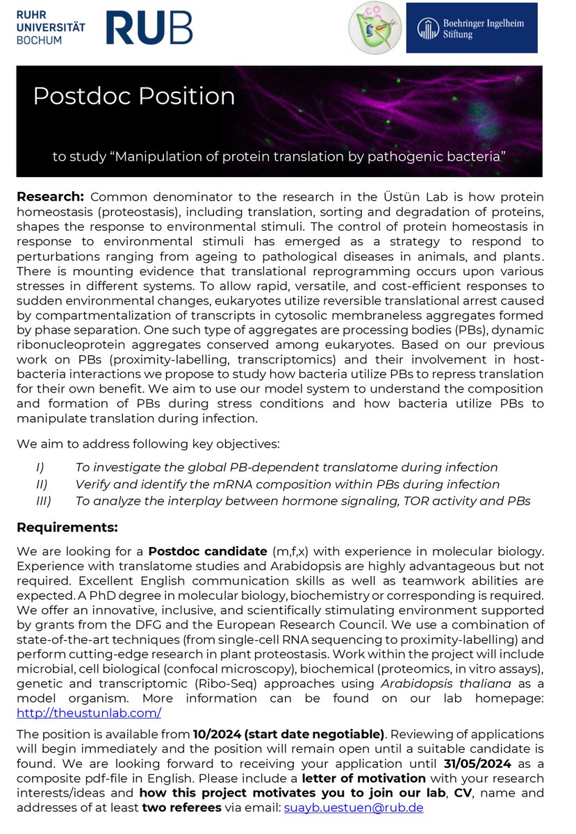 Job alert‼️We are searching for a #postdoc to study the 'Manipulation of protein translation by bacteria'. If you're interested in #proteostasis, processing bodies, TOR, condensates & pathogens etc. apply ♻️ 🔬🦠 Please share 📢 More info here and below theustunlab.com/positions/