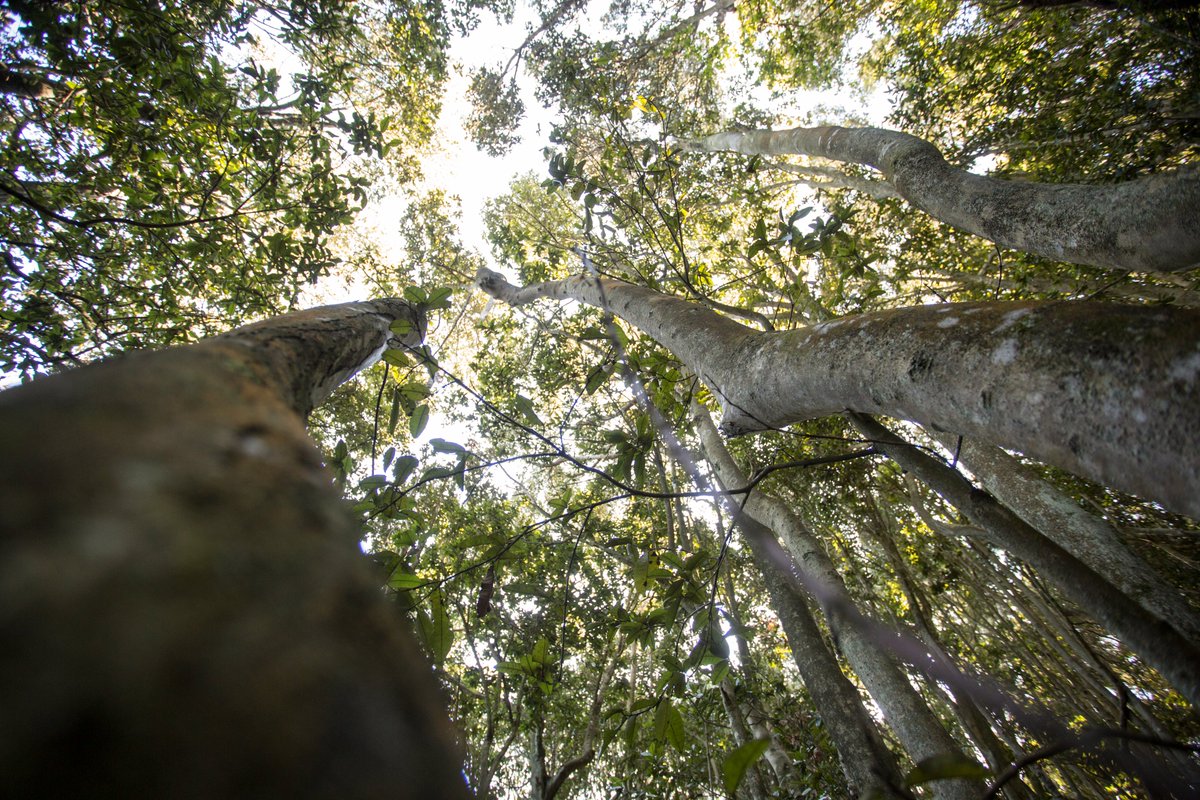 Did you know <a href="/aminerals/">Antofagasta Minerals</a> is working to conserve an area that is six times larger than its Los Pelambres mine in Chile?

South America is an exceptionally vibrant part of our world, blessed with rich biodiversity, complex ecosystems and awe inspiring landscapes. Take a journey with
