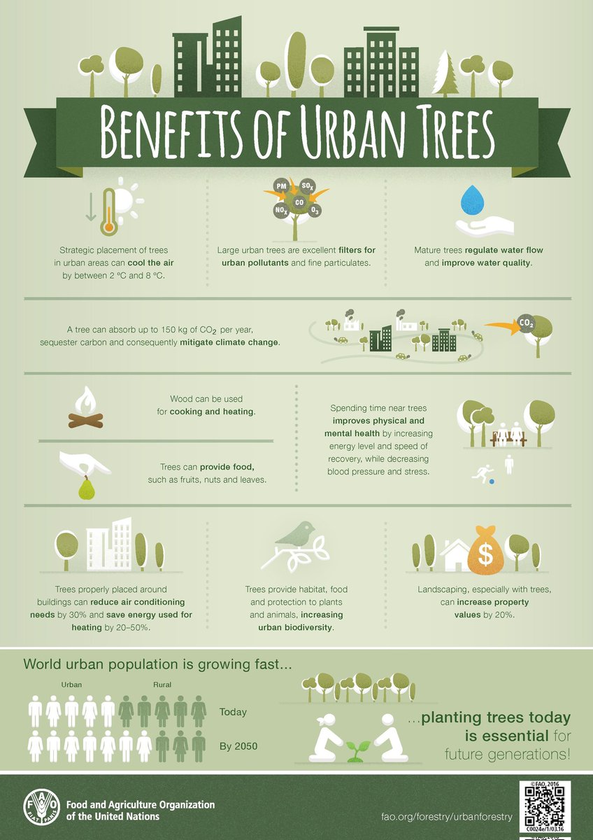 #Benefits of URBAN TREES

#WhatHasChanged?
@CSDevNet1 @PACJA1 @Sida